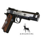 Colt Special 1911 Combat Edition
