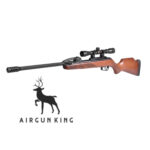 Gamo Fast Shot 10X IGT