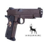 Sig Sauer 1911 Spartan