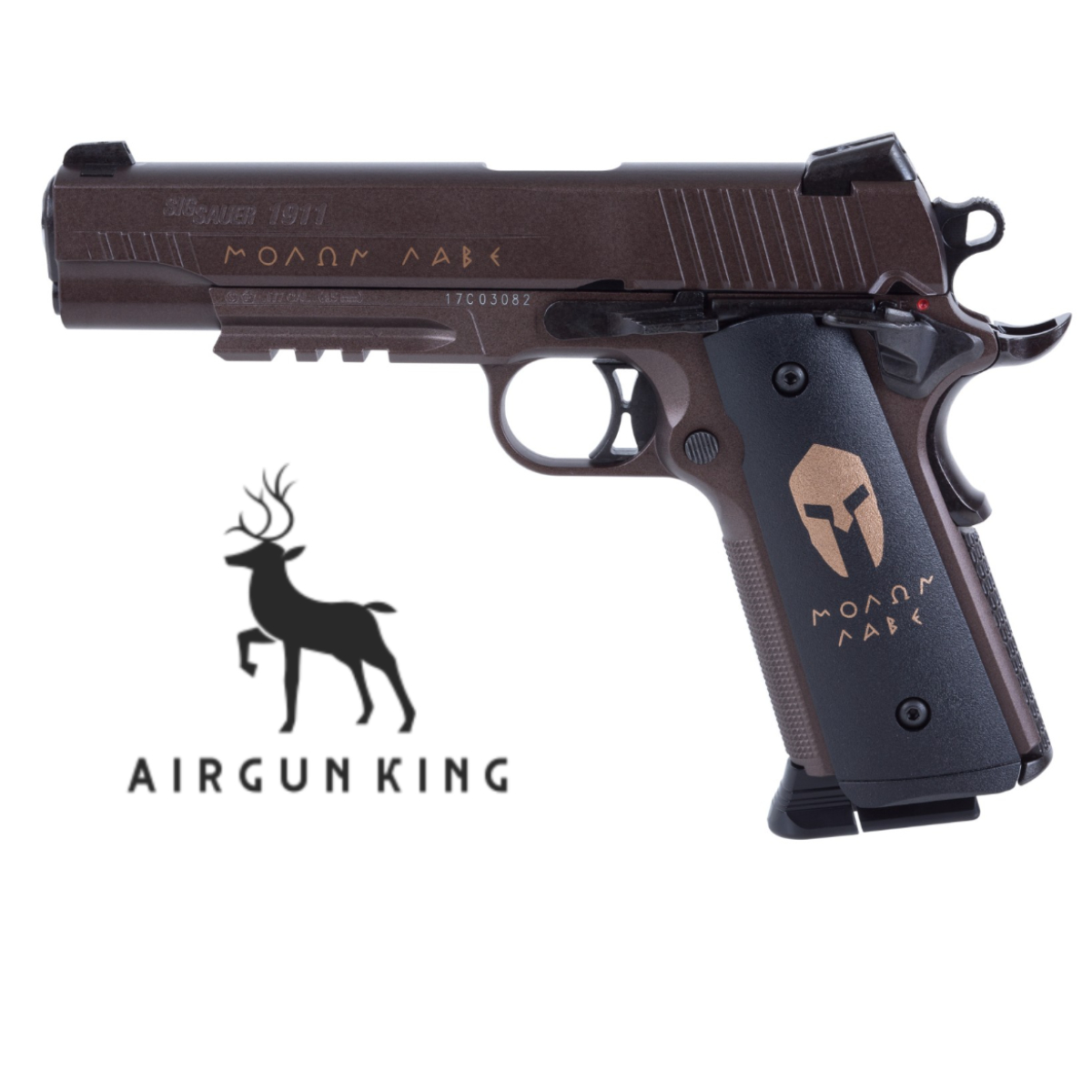 Sig Sauer 1911 Spartan5 Sig Sauer 1911 Spartan
