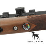 Daystate Huntsman Regal - R