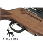 Daystate Huntsman Regal - R