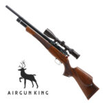 Daystate Huntsman Regal - R