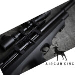FX Wildcat MK3 .177 Compact