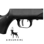 Precihole SX200 Minerva Air Rifle