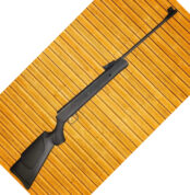 CAMSTAR SPORTS MATRIX (NITRO) 177 CAL AIR RIFLE