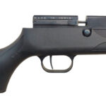 CAMSTAR SPORTS STAR X1 PCP .177 CAL